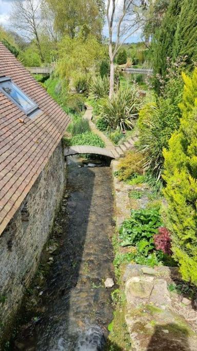 SallenAncien Moulin Pres D'Un Ruisseau别墅 外观 照片