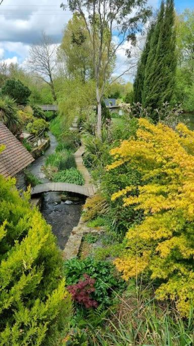SallenAncien Moulin Pres D'Un Ruisseau别墅 外观 照片