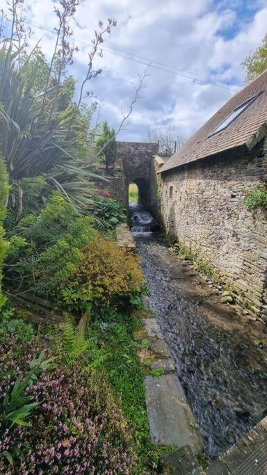 SallenAncien Moulin Pres D'Un Ruisseau别墅 外观 照片